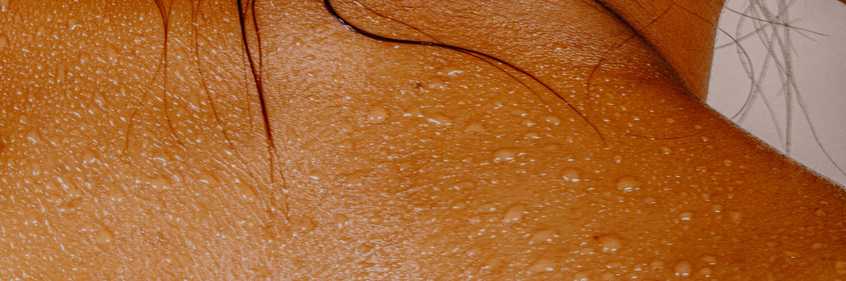 splash image